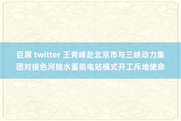 巨屌 twitter 王青峰赴北京市与三峡动力集团对接色河抽水蓄能电站模式开工斥地使命