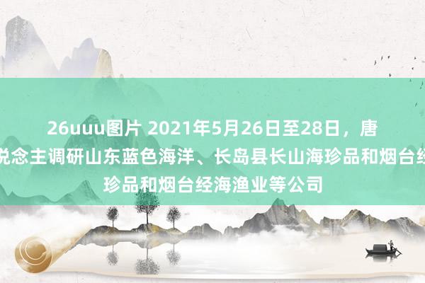 26uuu图片 2021年5月26日至28日，唐衍力安分等东说念主调研山东蓝色海洋、长岛县长山海珍品和烟台经海渔业等公司