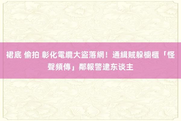 裙底 偷拍 彰化電纜大盜落網！通緝賊躲櫥櫃「怪聲頻傳」鄰報警逮东谈主