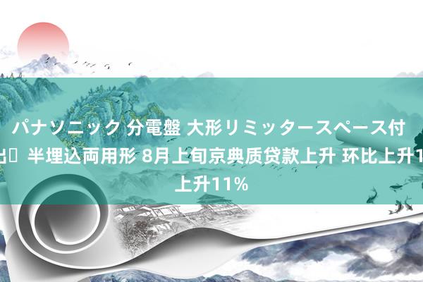 パナソニック 分電盤 大形リミッタースペース付 露出・半埋込両用形 8月上旬京典质贷款上升 环比上升11%